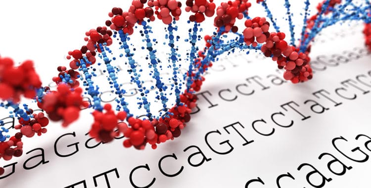 DNA double helix with red strands and blue bases against a white background with black letters